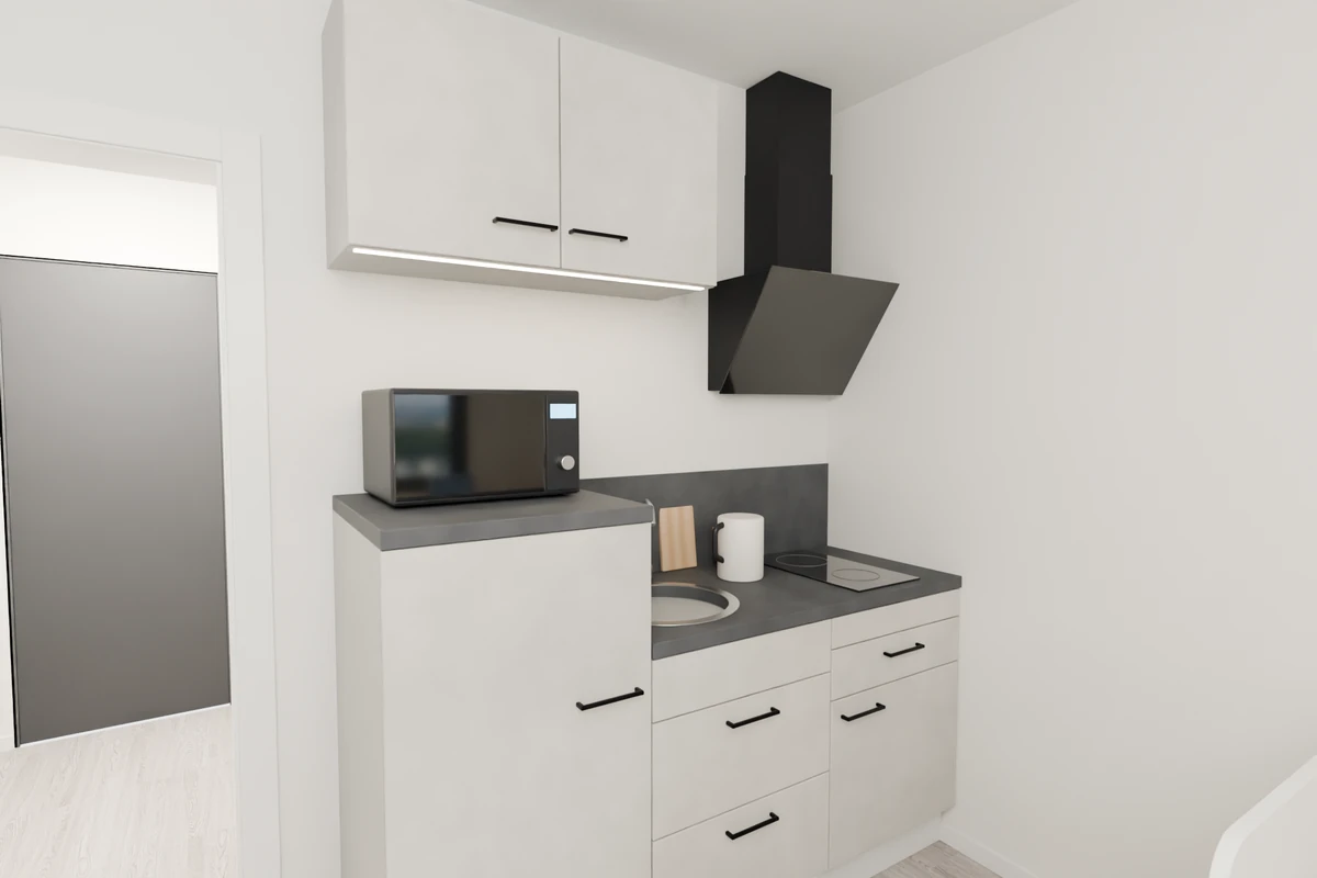 Twin studio Type 01 – kitchenette with fridge, microwave, sink, hob and extractor hood